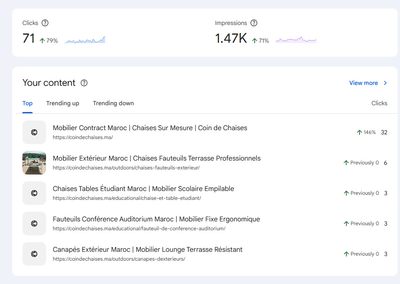 First lead in 1 week with SEO - Référencement naturel