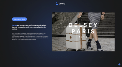 Delsey x Junto - E-commerce