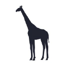 Brand Safari