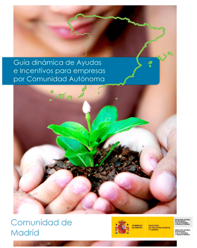 Buscadores de ayudas para empresas - DGPYME - Estrategia digital