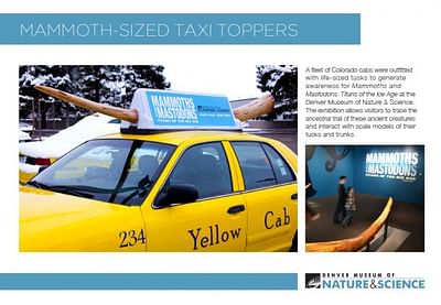 Taxi Tusks - Publicité