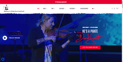 David Garrett Shop - Webseitengestaltung