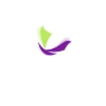 Eventful Limited logo