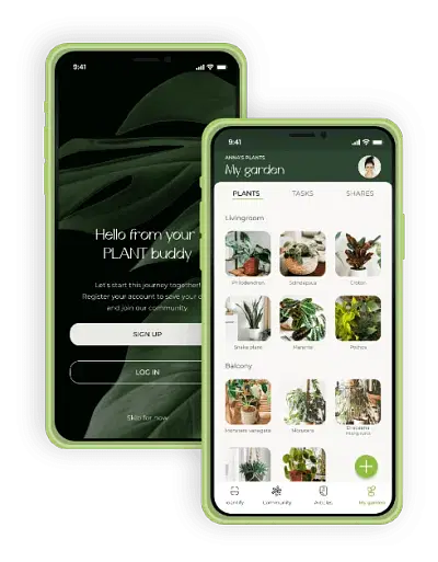Plant Buddy Software Development - Software Development