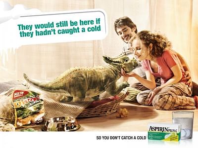 Dino Home - Werbung