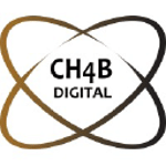 Brandable logo