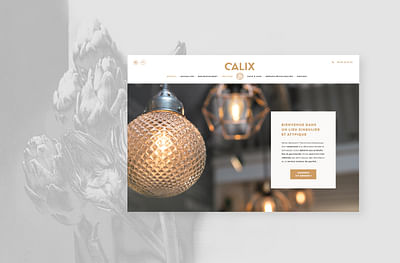 Calix.fr - Website Creation