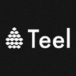 Teel Group