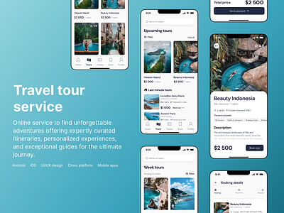 Travel tour service - Usabilidad (UX/UI)