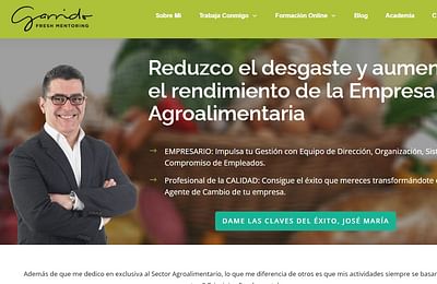 Estrategia de marketing B2B Freshmentoring - Estrategia digital