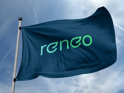 Nachhaltig Wohnraum modernisieren – Reneo - Création de site internet