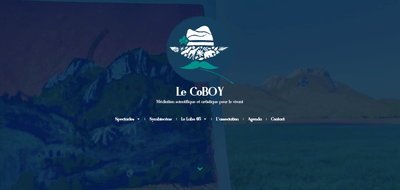 Le CoBOY - Création de site internet
