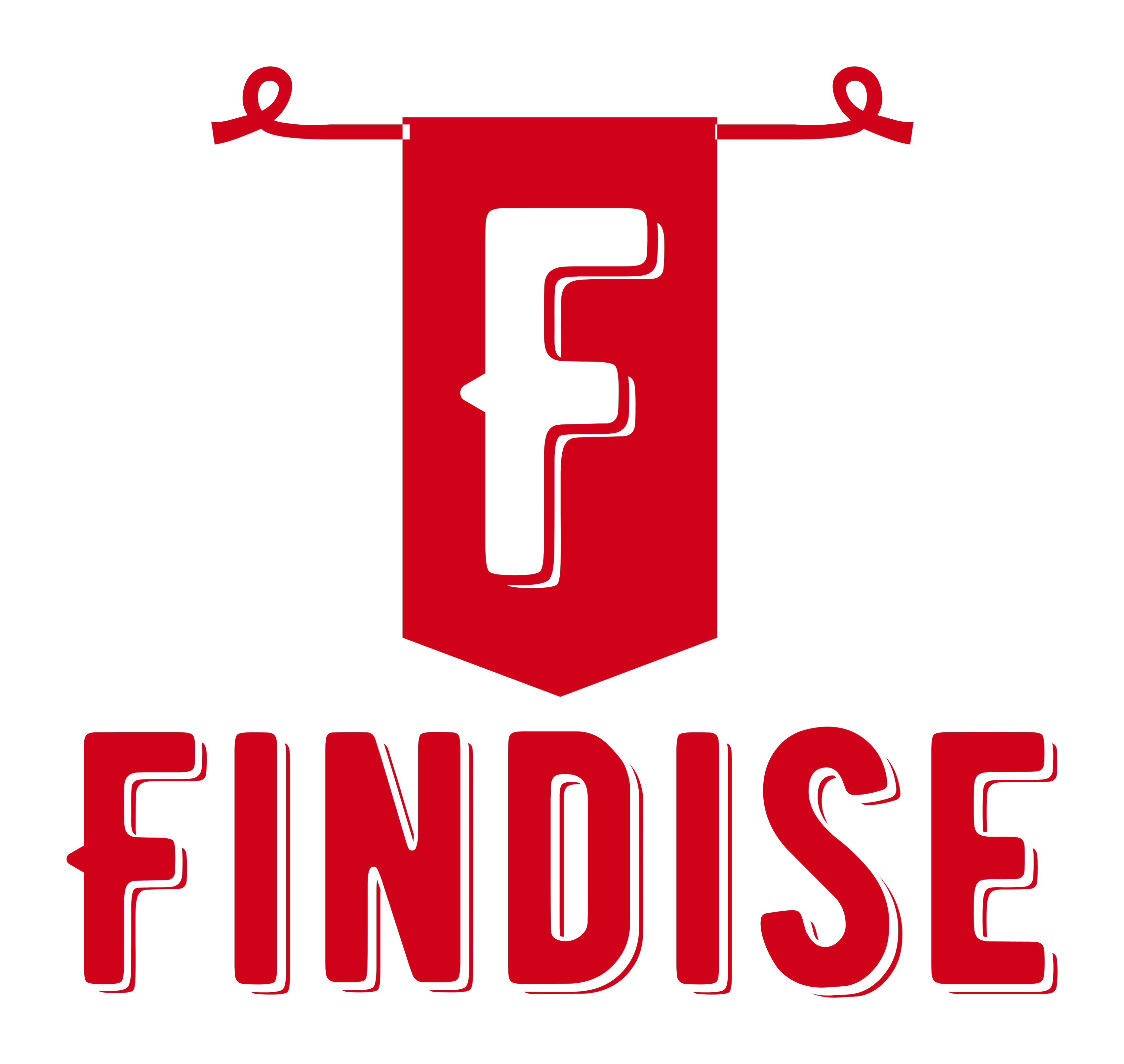 Findise Solutions Private Limited