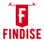 Findise Solutions Private Limited logo