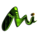 Mushroom Internet Ltd