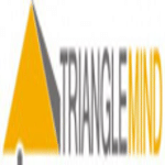 Triangle Mind Technologies