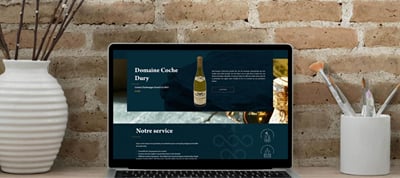 Wvine : boutique internationale de vins et champagnes rares - E-commerce