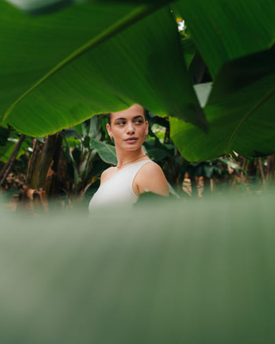 Paradisus - Social-First Brand Transformation - Online Advertising