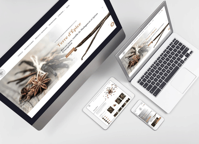 Site e-commerce : terre d’épice - E-commerce