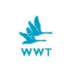 WWT London Wetland Centre