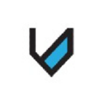 Valkyrie Security Group logo
