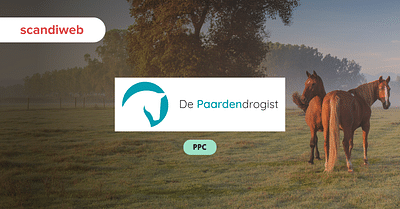 Meta Ads Boost De Paardendrogist Revenue by 111% - Advertising