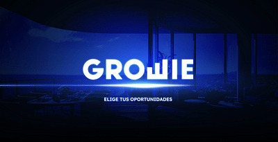 Growie - Elige tus oportunidades - Digitale Strategie