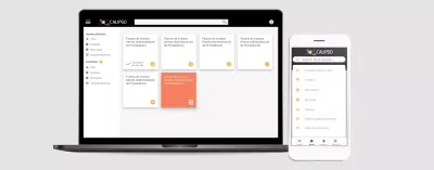 Calipso APP - Usabilidad (UX/UI)