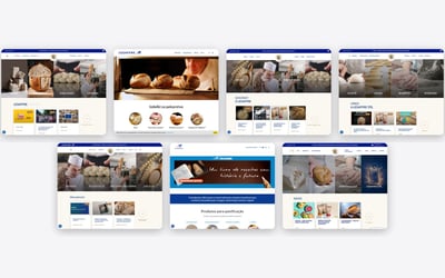 Lesaffre : sites multilingues de Business Units et d'entités - Creación de Sitios Web