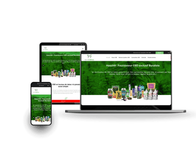 Création site Web Haschill Ecommerce en France - Creación de Sitios Web