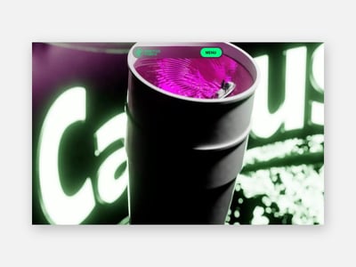 Cactus Vibes: 148.011 Euro Ticketumsatz über die eigene Website - Website Creation