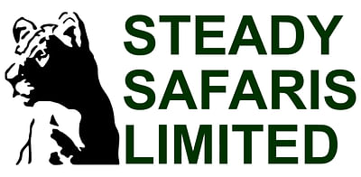 Steady Safaris Limited - Webanalytik/Big Data