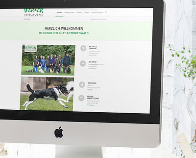 Suchmaschinenmarketing „Hundeinternat“ - Publicité en ligne