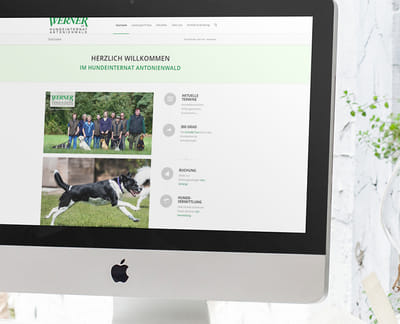 Suchmaschinenmarketing „Hundeinternat“ - Onlinewerbung