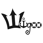 WiGOO Media
