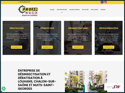 Pilotage Google Ads hygiène 3D - Pro3D - Publicité en ligne
