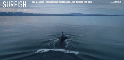 Desarrollo web Surfish Trade - Creación de Sitios Web
