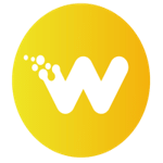 Wiser Websites