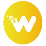 Wiser Websites logo
