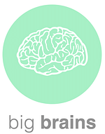 Big Brains