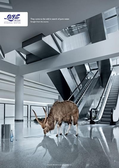 Waterbok - Publicidad