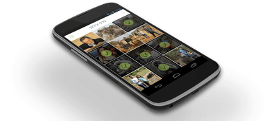 Mobile App - Usabilidad (UX/UI)