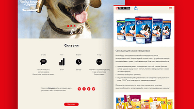 Nestle Purina. Online service for meeting your pet - Digital Strategy