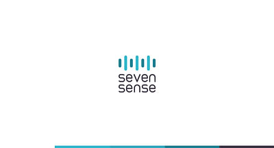 SevenSense. The future of healthcare. - Usabilidad (UX/UI)