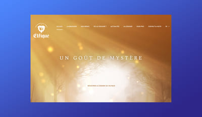 Elfique / http://www.elfique.be/ - Branding & Positioning