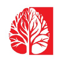 Dinnova Ag