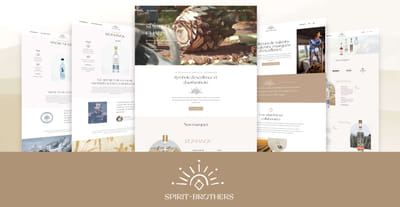Spirit Brothers : Réalisation site vitrine - Ergonomie (UX/UI)