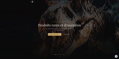 StoneAndBone - Développement de Logiciel