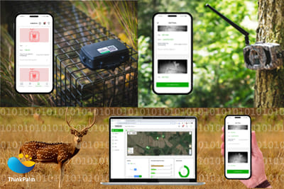 NetvirE IIoT Platform for Wildlife Conservation - Software Development