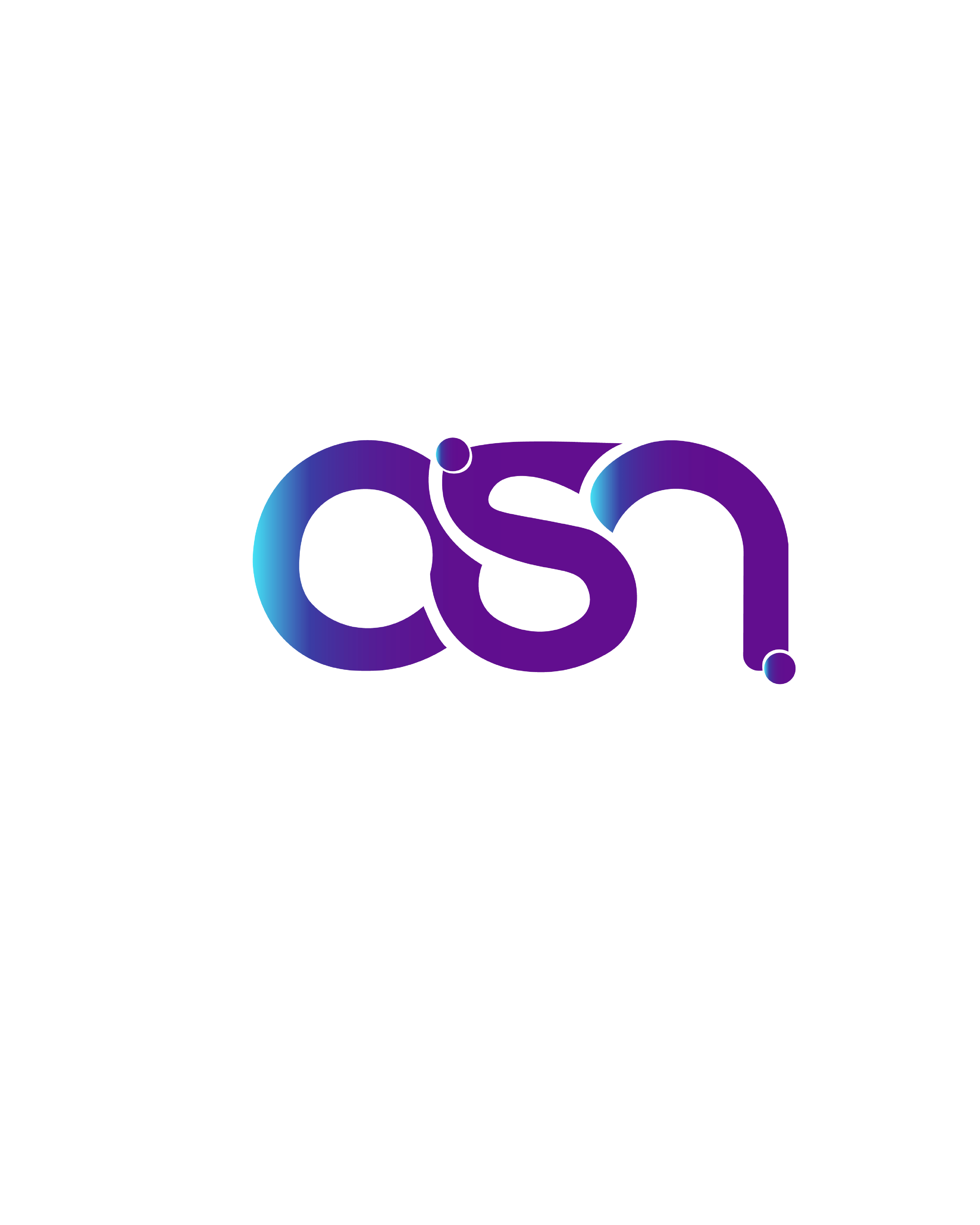 ASN Consulting